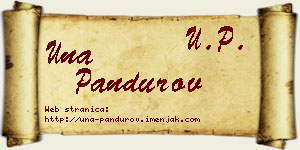 Una Pandurov vizit kartica
